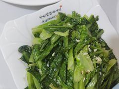 -煲来饱去冷水鱼