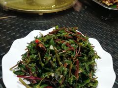 -草根堂农场