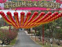 -广州莲花山旅游区