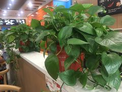 -袁老大肉夹馍(边家村分店)