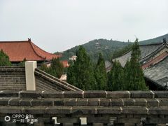 -龙口南山旅游景区