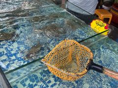 -芦潮港集贸市场