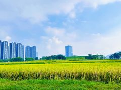 -光明小镇欢乐田园