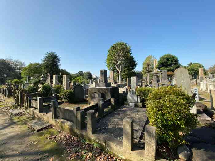 谷中灵园-"打卡签到值得去当天下雨了没有猫就有."-大众点评移动版