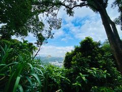 -梧桐山风景名胜区