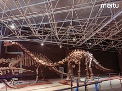 -世界恐龙谷景区