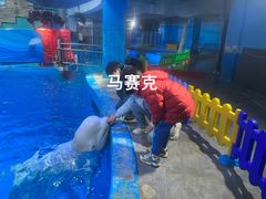 -海合安成都极地海洋公园