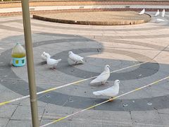 -南宫五洲植物乐园