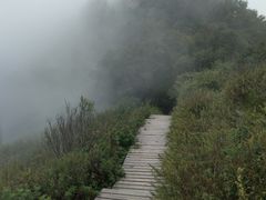 -白草畔自然风景区