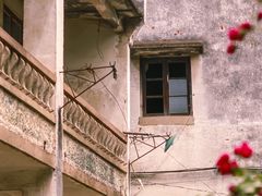 -丝绸小镇荻港古村