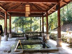 -洪湖悦兮半岛国际温泉度假村