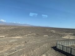 -豫掌柜饸饹面·烩面(秀沿路店)