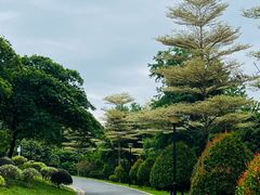 -东莞植物园