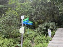 -火炉山森林公园
