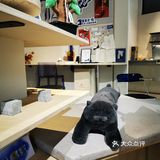 来猫客厅🐱体验精神世界的丰盈