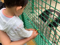 -栾川竹海野生动物园