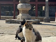 -四门塔风景区