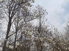 -睦南公园