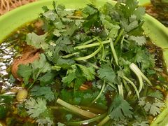 -张记牛肉面馆(天津路店)