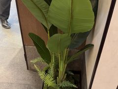 -百富源·海鲜辽菜(浑河堡店)