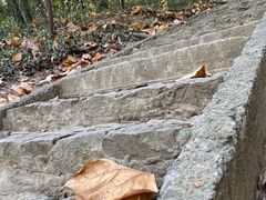 -上海佘山国家森林公园天马山园