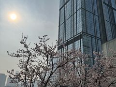 -成都尼依格罗酒店