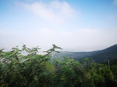 -涂山风景区