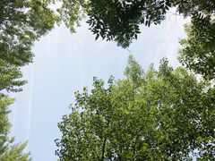-金石滩蓝莓谷庄园