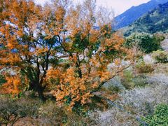 -鸡枕山