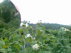 景点-东部华侨城