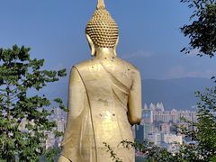 -西双版纳勐泐文化旅游区