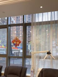 -碧莲盛·不剃发植发