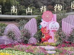 -南山植物园