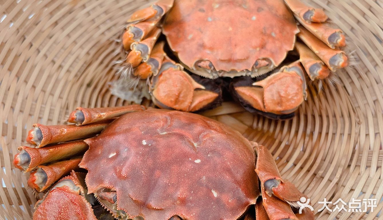 周末觅食记➡️上莲花岛吃2021的第一只螃蟹🦀️