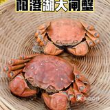 周末觅食记➡️上莲花岛吃2021的第一只螃蟹🦀️