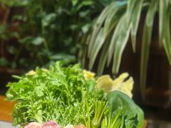-大理董·董家小厨野生菌火锅(古城旗舰店)
