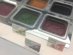 -Salud撒露欧洲冻酸奶(蓝色港湾店)