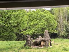 -杭州野生动物世界