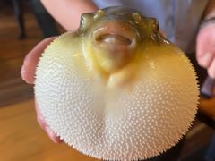 -永安鱼庄·镇江菜(三店纬五路店)