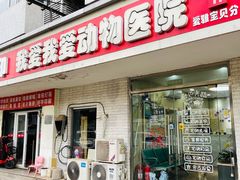 -中农大我爱我爱24h动物医院·中医针灸·猫专科·骨科医疗中心(双井店)
