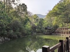 -敬亭山风景名胜区