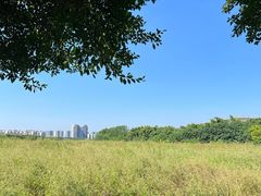 -广东花都湖国家湿地公园