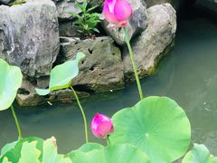 -尚贤河湿地