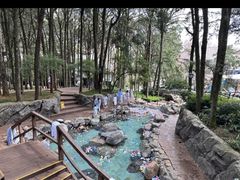 -金方森林温泉
