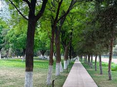 -汉长安城未央宫国家考古遗址公园