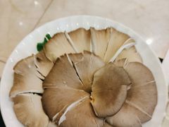 -清真军邺·金富苑肥牛(石坡街旗舰店)
