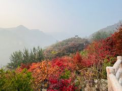 -周口店坡峰岭风景区