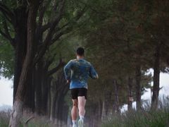 -汉长安城未央宫国家考古遗址公园