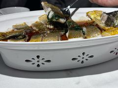 -粤界(望京金辉店)