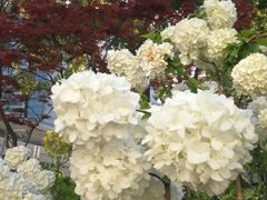 -上海不夜城广场(上海不夜城金融大厦店)